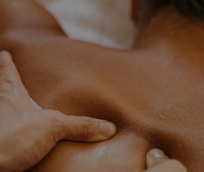 d8b2813ec477502918b3742cab5ca240-rexfqst3t38uvf2nyy5gmjolv8dmy24wtcsrjgsmbg